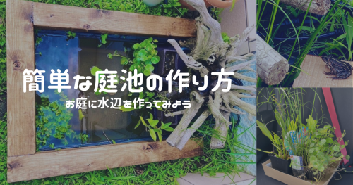 簡単な庭池の作り方 ビオトープ 池用濾過装置作り方　水中ポンプ　おすすめのビオトープ植物