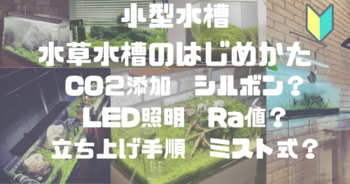 小型水槽　水草水槽のはじめ方　立ち上げ方